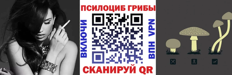 Псилоцибиновые грибы Magic Shrooms  Покровск 